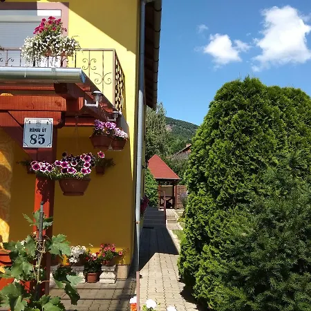Anna Ilona Vendeghaz 4*